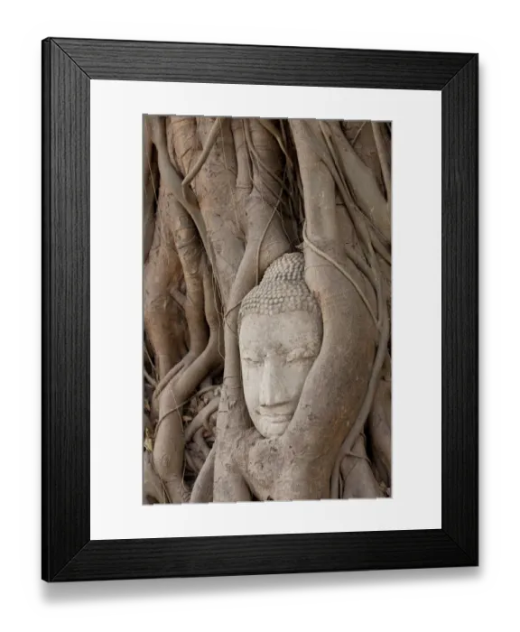 Framed Print : Thailand, Ayutthaya, Buddha head growing in roots of Banyan tree at Wat Mahathat Framed Print : Thailand, Ayutthaya, Buddha head growing in roots of Banyan tree at Wat Mahathat