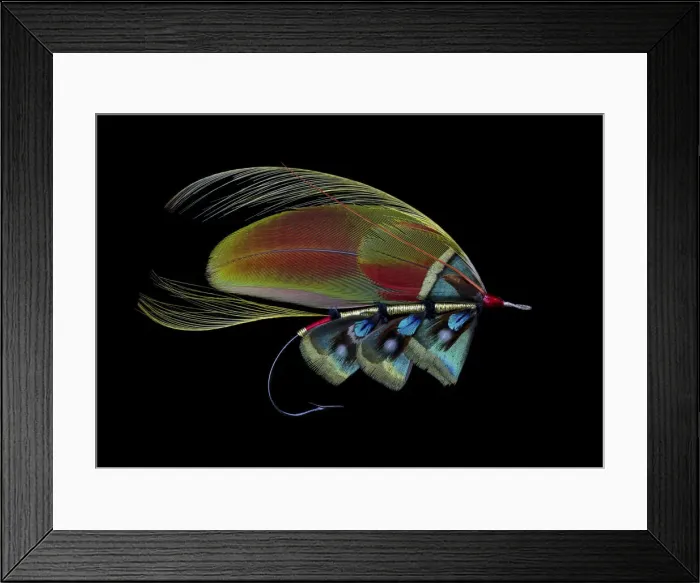 Framed Print : Atlantic Salmon Fly designs Framed Print : Atlantic Salmon Fly designs