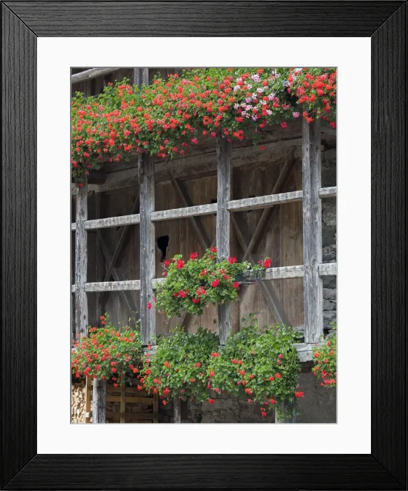 Framed Print : Canale d Agordo, traditional alpine architecture in valley Val Biois, Italy