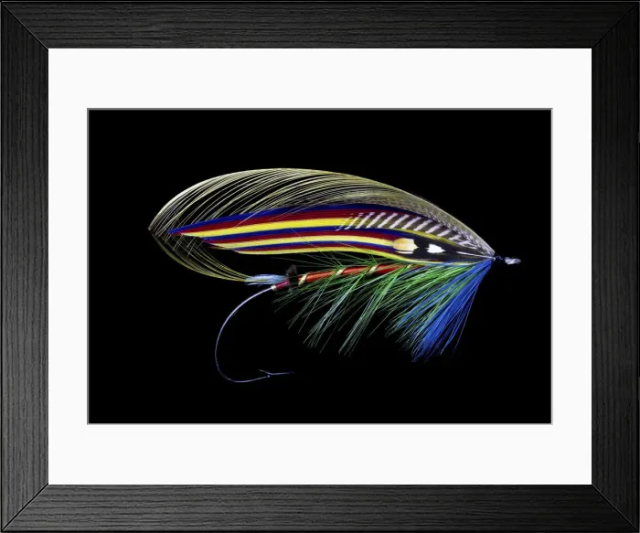 Framed Print : Atlantic Salmon Fly designs Clabby Framed Print : Atlantic Salmon Fly designs Clabby