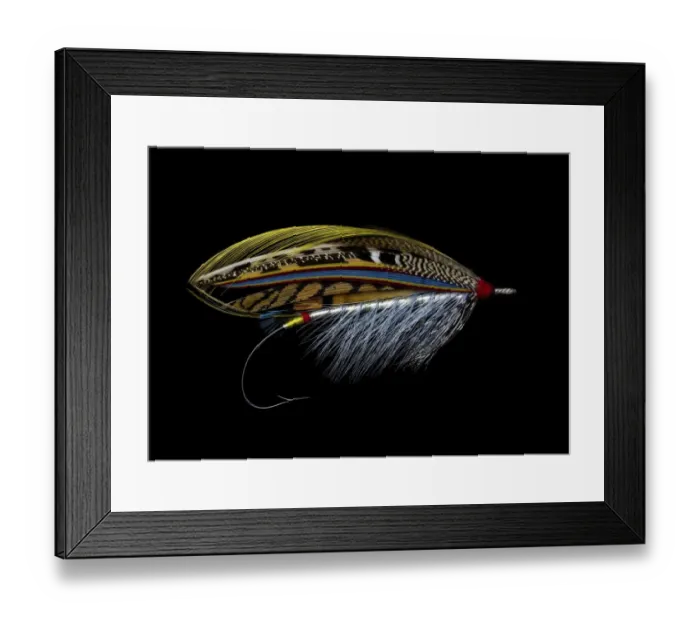 Framed Print : Atlantic Salmon Fly designs Silver Doctor Framed Print : Atlantic Salmon Fly designs Silver Doctor