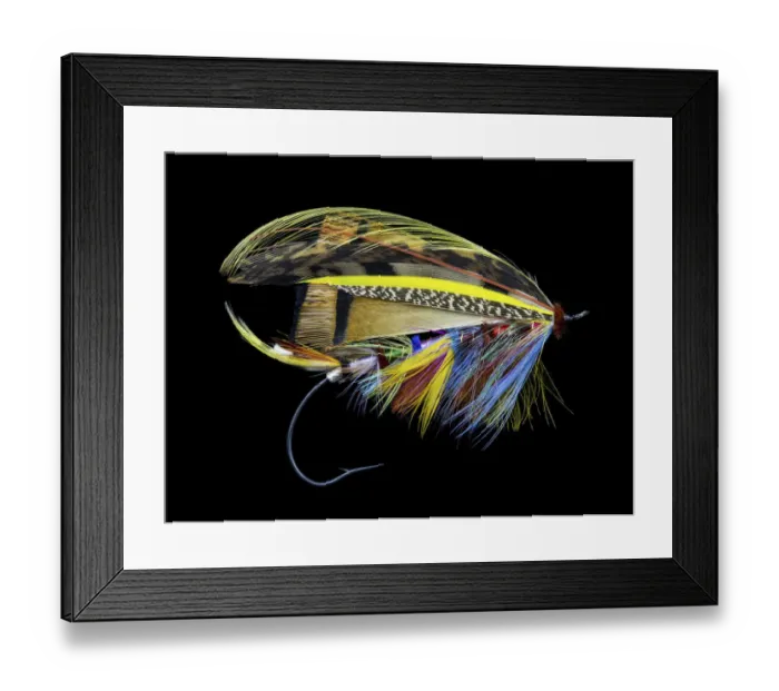 Framed Print : Atlantic Salmon Fly designs Blacker Unknown #1 Framed Print : Atlantic Salmon Fly designs Blacker Unknown #1