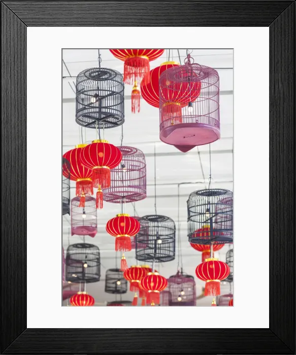 Framed Print : Thailand, Bangkok. Siam Square, display of red lanterns and birdcages Framed Print : Thailand, Bangkok. Siam Square, display of red lanterns and birdcages