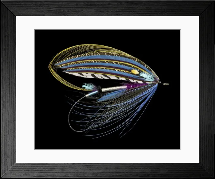 Framed Print : Atlantic Salmon Fly designs Sentinal Framed Print : Atlantic Salmon Fly designs Sentinal