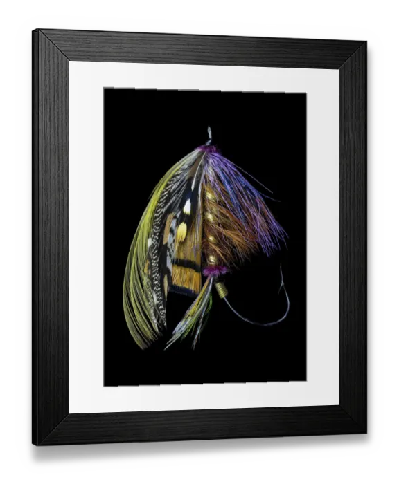 Framed Print : Atlantic Salmon Fly designs Blacker Unknown variant #2