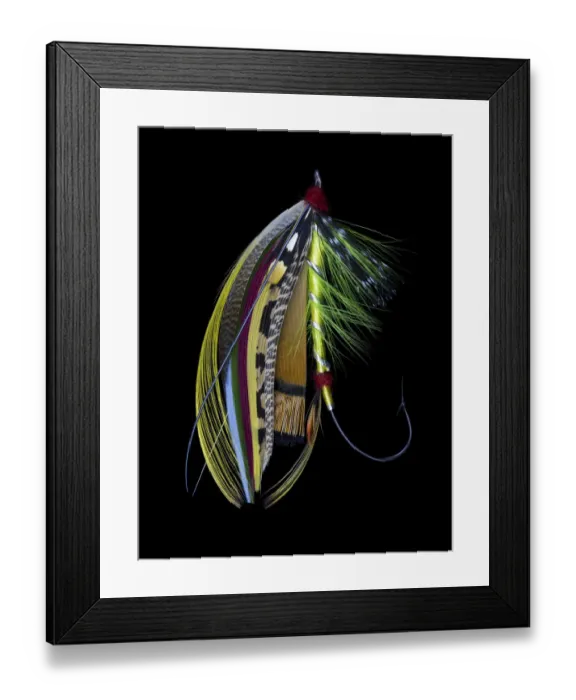 Framed Print : Atlantic Salmon Fly designs Green Doctor