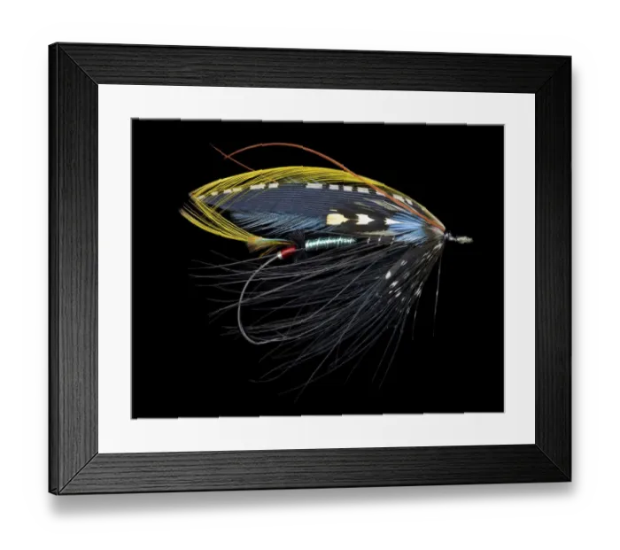 Framed Print : Atlantic Salmon Fly designs Antimatter Suprama