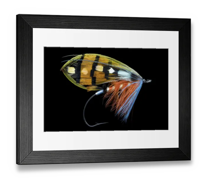 Framed Print : Atlantic Salmon Fly designs Framed Print : Atlantic Salmon Fly designs