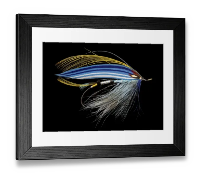 Framed Print : Atlantic Salmon Fly designs Jill Susan Framed Print : Atlantic Salmon Fly designs Jill Susan