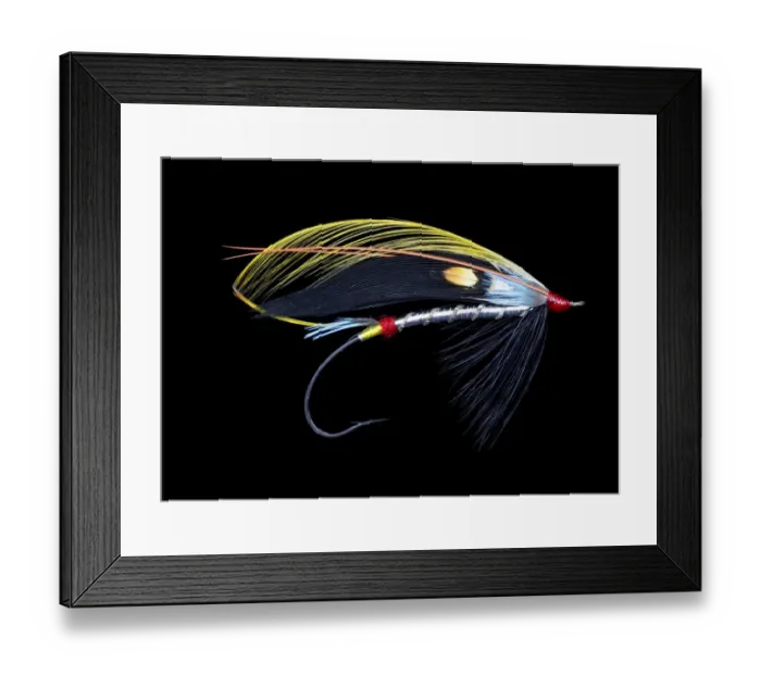 Framed Print : Atlantic Salmon Fly designs