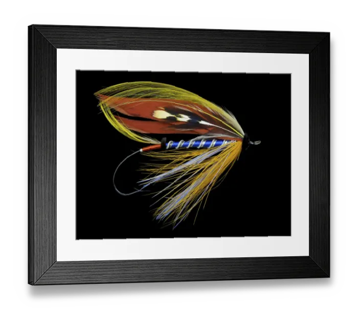 Framed Print : Atlantic Salmon Fly designs Bluebell Framed Print : Atlantic Salmon Fly designs Bluebell