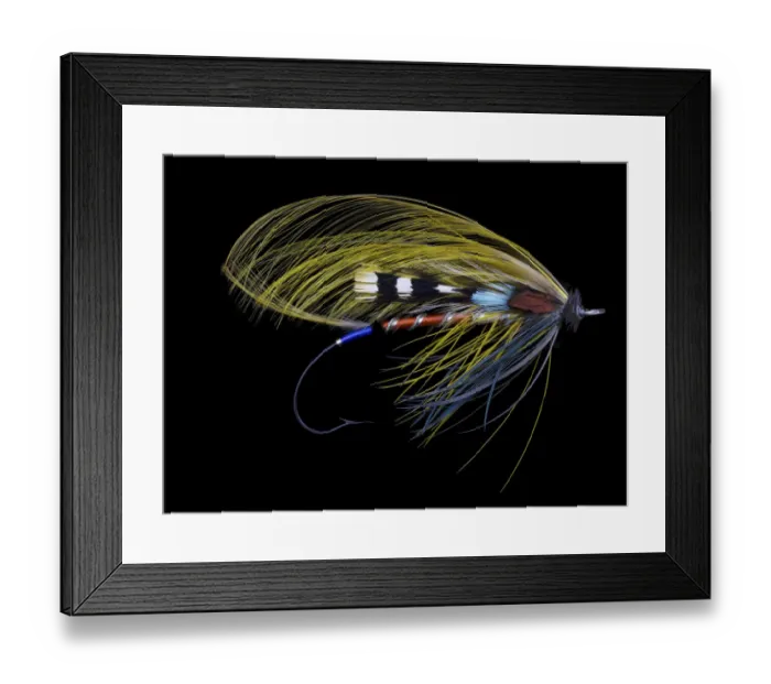 Framed Print : Atlantic Salmon Fly designs Juno