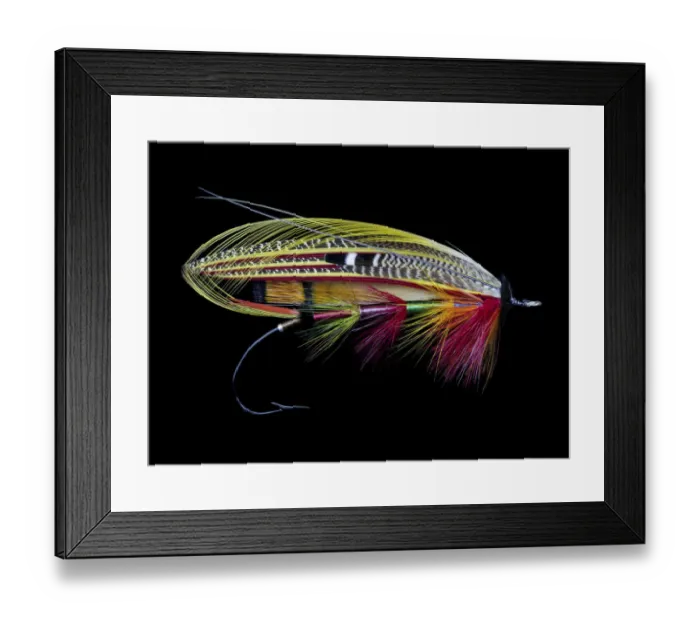 Framed Print : Atlantic Salmon Fly designs