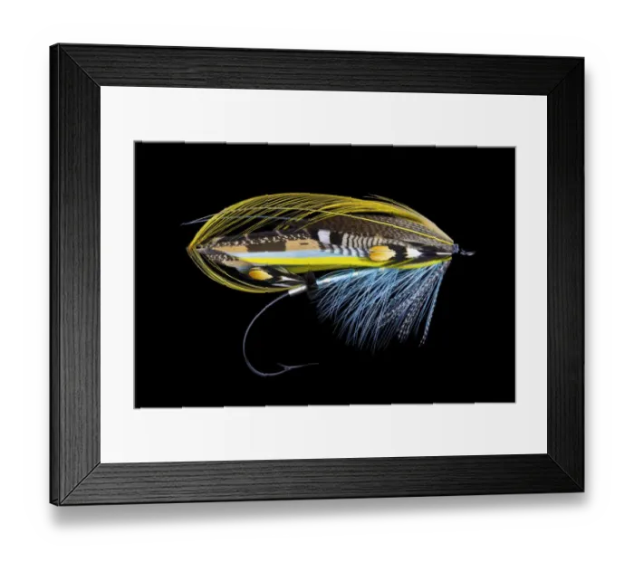 Framed Print : Atlantic Salmon Fly designs Framed Print : Atlantic Salmon Fly designs