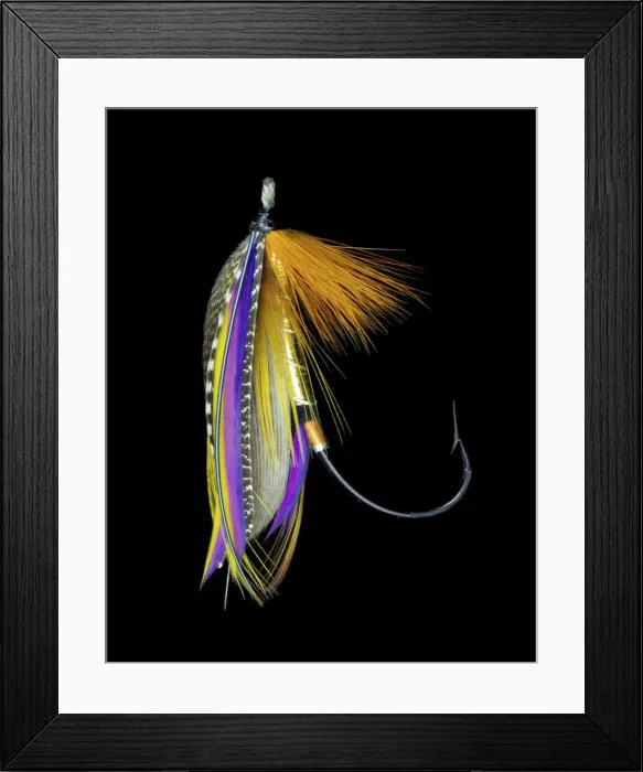 Framed Print : Atlantic Salmon Fly designs B. P Framed Print : Atlantic Salmon Fly designs B. P