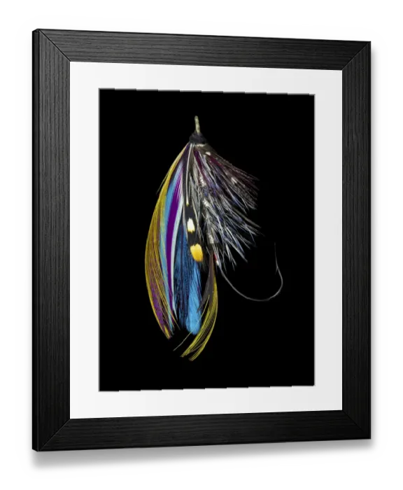 Framed Print : Atlantic Salmon Fly designs Jay Body Framed Print : Atlantic Salmon Fly designs Jay Body