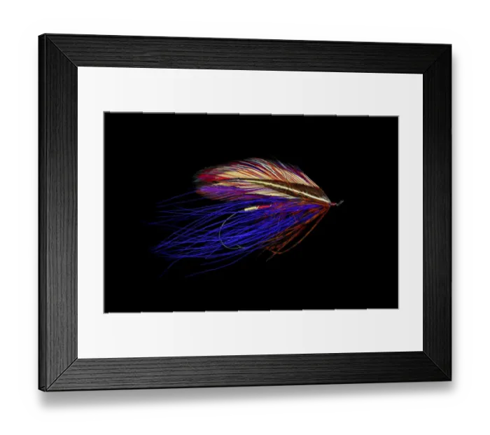 Framed Print : Atlantic Salmon Fly designs Iris Spey