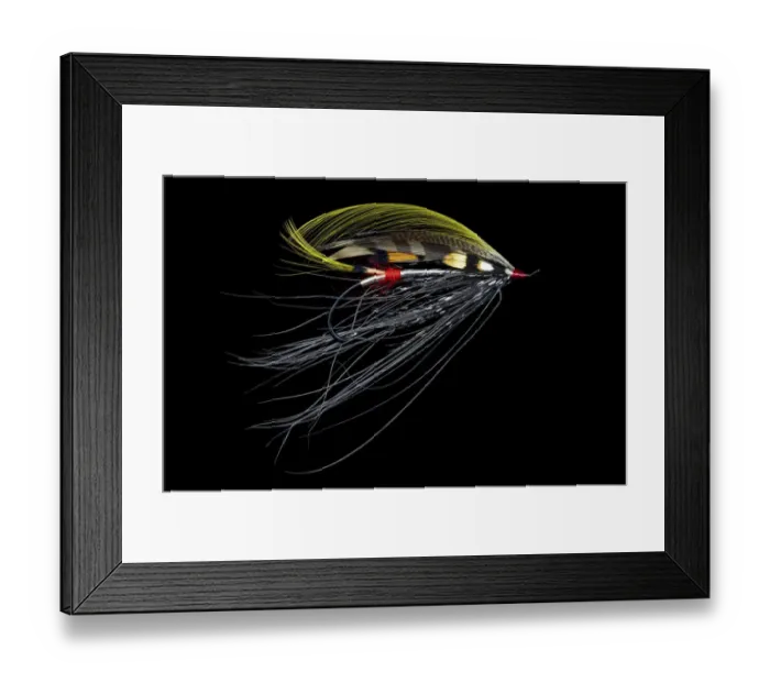Framed Print : Atlantic Salmon Fly designs Pitcroy Fancy Framed Print : Atlantic Salmon Fly designs Pitcroy Fancy