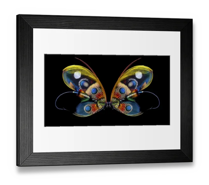 Framed Print : Atlantic Salmon Fly designs