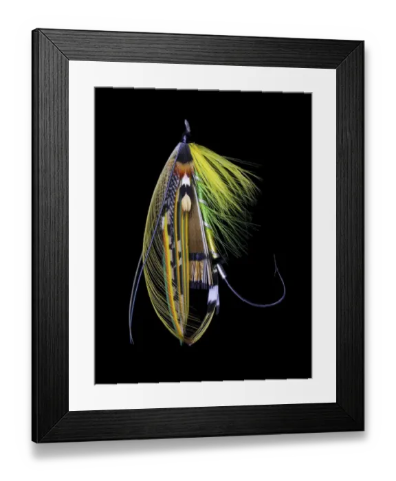 Framed Print : Atlantic Salmon Fly designs Green Highlander