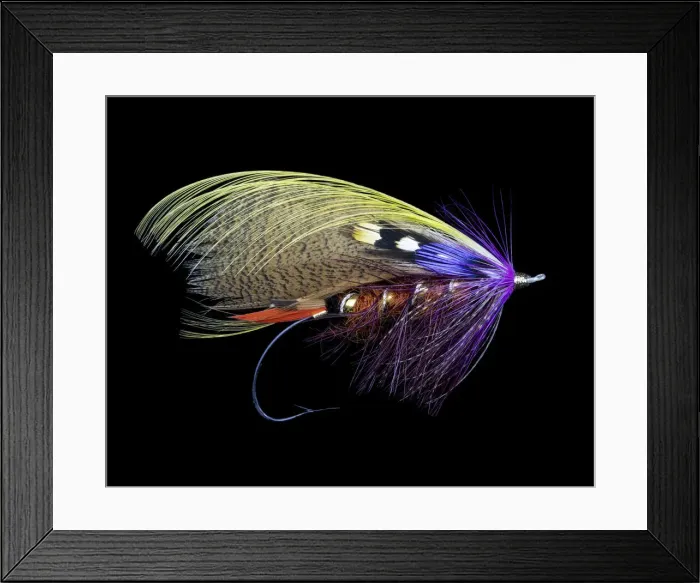 Framed Print : Atlantic Salmon Fly designs Brittania Framed Print : Atlantic Salmon Fly designs Brittania