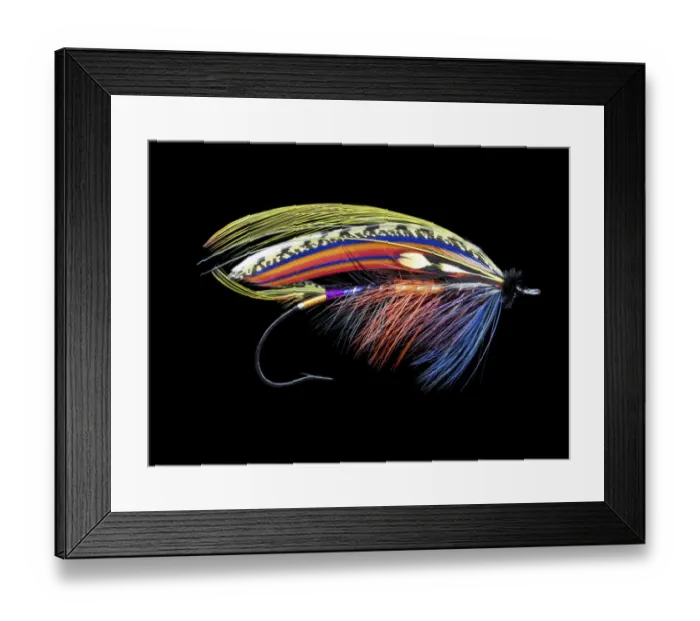 Framed Print : Atlantic Salmon Fly designs Grahams Fancy Framed Print : Atlantic Salmon Fly designs Grahams Fancy