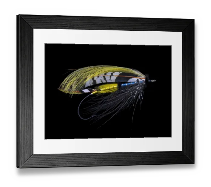 Framed Print : Atlantic Salmon Fly designs Highland Gem