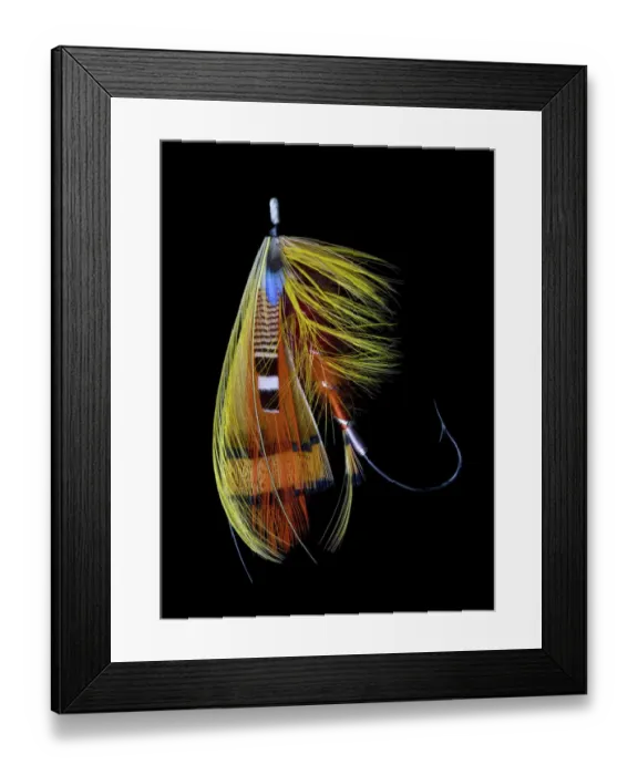 Framed Print : Atlantic Salmon Fly designs Orange Parson Framed Print : Atlantic Salmon Fly designs Orange Parson