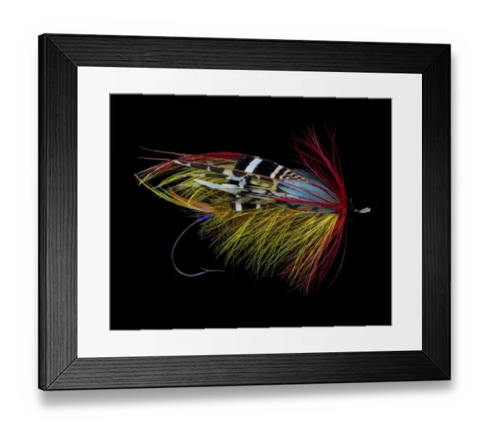 Framed Print : Atlantic Salmon Fly designs Framed Print : Atlantic Salmon Fly designs