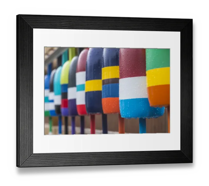 Framed Print : USA, Maine Cape Neddick. New lobster buoys for sale Framed Print : USA, Maine Cape Neddick. New lobster buoys for sale