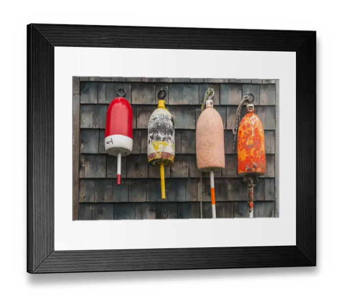 Framed Print : USA, Maine, Mt. Desert Island, Bernard. Lobster buoys Framed Print : USA, Maine, Mt. Desert Island, Bernard. Lobster buoys