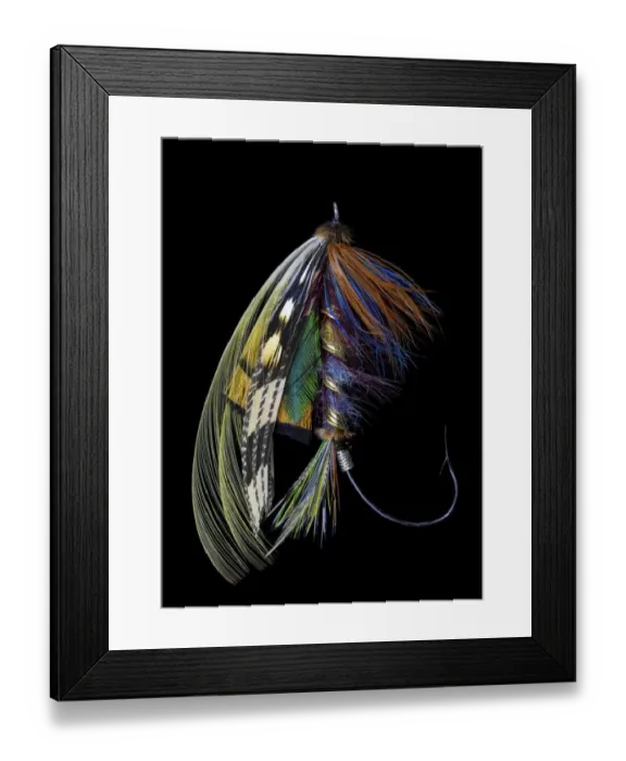 Framed Print : Atlantic Salmon Fly designs Blacker Ghost variation Framed Print : Atlantic Salmon Fly designs Blacker Ghost variation
