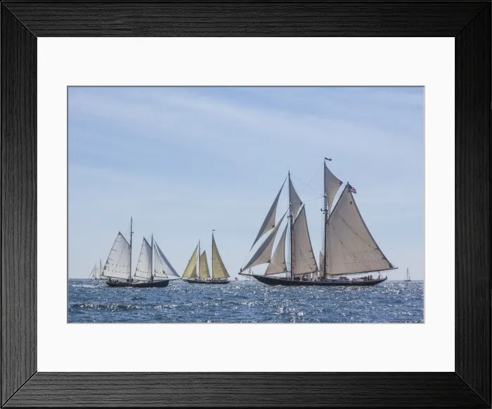 Framed Print : USA, Massachusetts, Cape Ann, Gloucester. Gloucester Schooner Festival Framed Print : USA, Massachusetts, Cape Ann, Gloucester. Gloucester Schooner Festival
