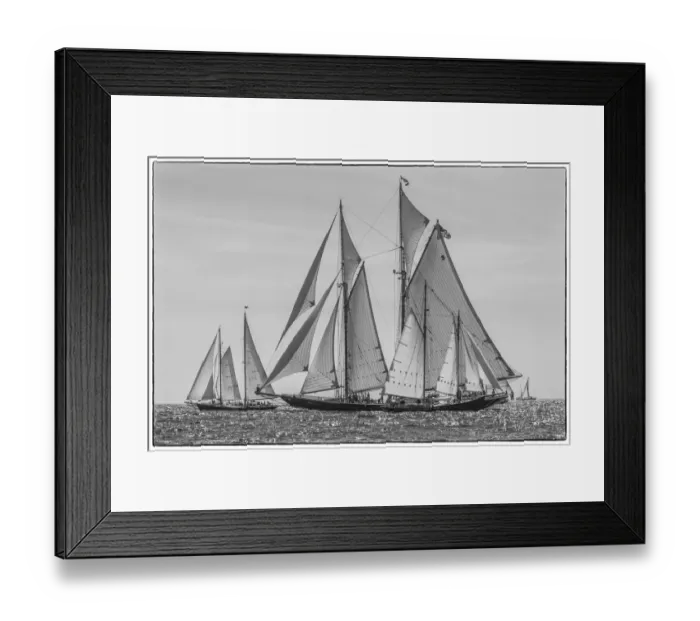Framed Print : USA, Massachusetts, Cape Ann, Gloucester. Gloucester Schooner Festival