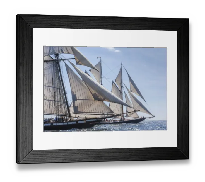 Framed Print : USA, Massachusetts, Cape Ann, Gloucester. Gloucester Schooner Festival