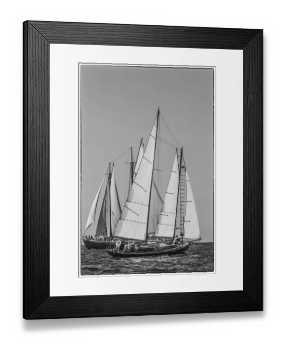 Framed Print : USA, Massachusetts, Cape Ann, Gloucester. Gloucester Schooner Festival