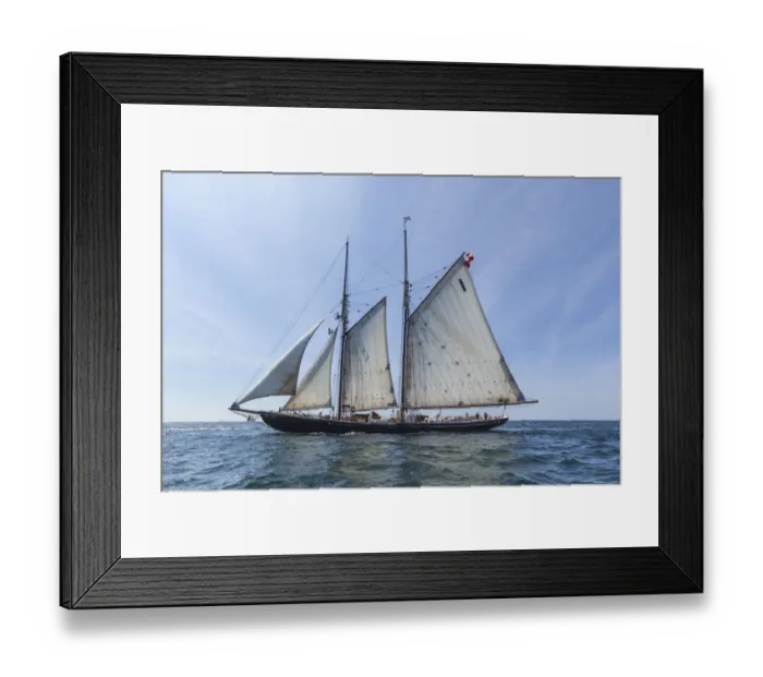 Framed Print : USA, Massachusetts, Cape Ann, Gloucester. Gloucester Schooner Festival