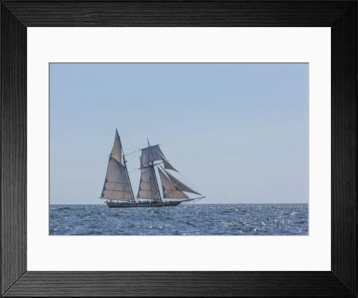 Framed Print : USA, Massachusetts, Cape Ann, Gloucester. Gloucester Schooner Festival Framed Print : USA, Massachusetts, Cape Ann, Gloucester. Gloucester Schooner Festival