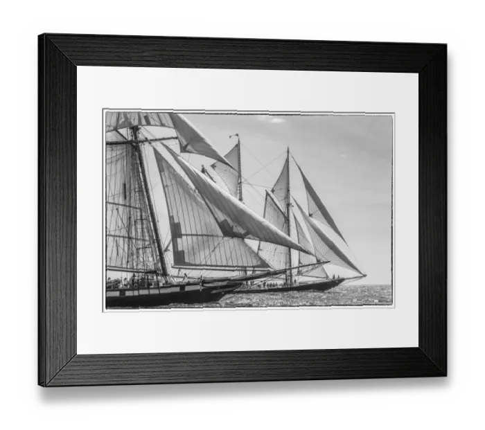 Framed Print : USA, Massachusetts, Cape Ann, Gloucester. Gloucester Schooner Festival