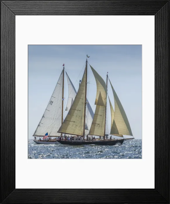 Framed Print : USA, Massachusetts, Cape Ann, Gloucester. Gloucester Schooner Festival Framed Print : USA, Massachusetts, Cape Ann, Gloucester. Gloucester Schooner Festival