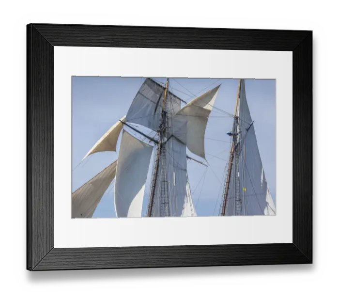 Framed Print : USA, Massachusetts, Cape Ann, Gloucester. Gloucester Schooner Festival, schooner sails Framed Print : USA, Massachusetts, Cape Ann, Gloucester. Gloucester Schooner Festival, schooner sails