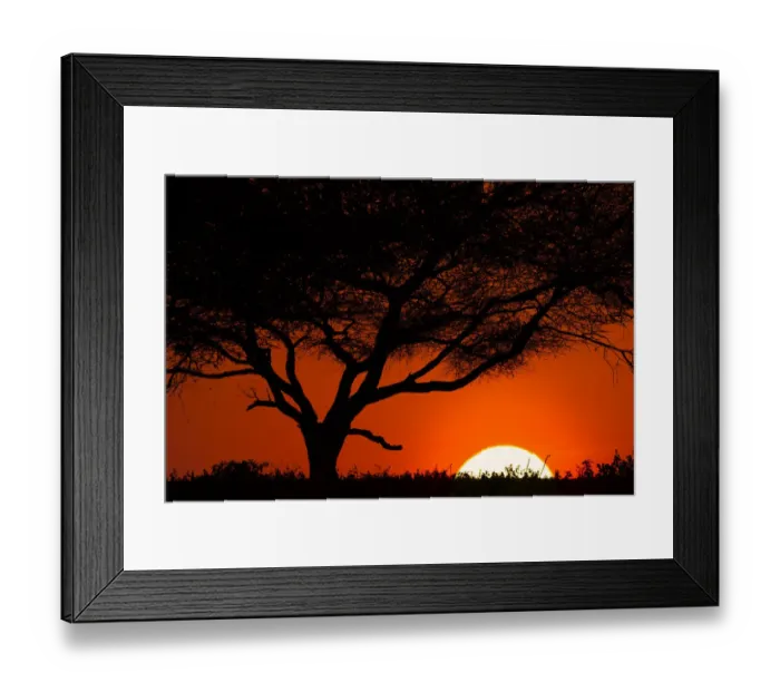 Framed Print : Tree silhouetted at sunset on the vast plains of Serengeti National Park, Tanzania Framed Print : Tree silhouetted at sunset on the vast plains of Serengeti National Park, Tanzania