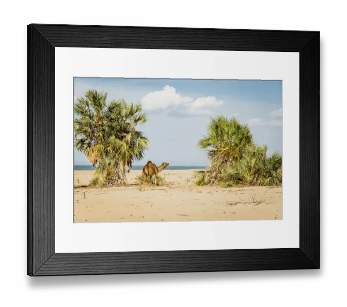 Framed Print : East Africa, Kenya. No Water No Life 2018 expedition, Lake Turkana Basin, Lobolo Camp Framed Print : East Africa, Kenya. No Water No Life 2018 expedition, Lake Turkana Basin, Lobolo Camp