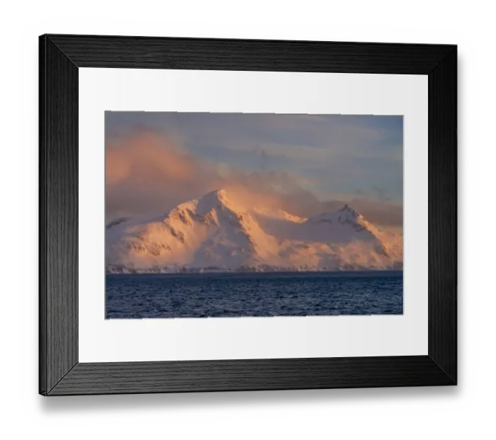 Framed Print : Antarctica, South Georgia Island, Bay of Isles. Sunrise on mountain and ocean Framed Print : Antarctica, South Georgia Island, Bay of Isles. Sunrise on mountain and ocean