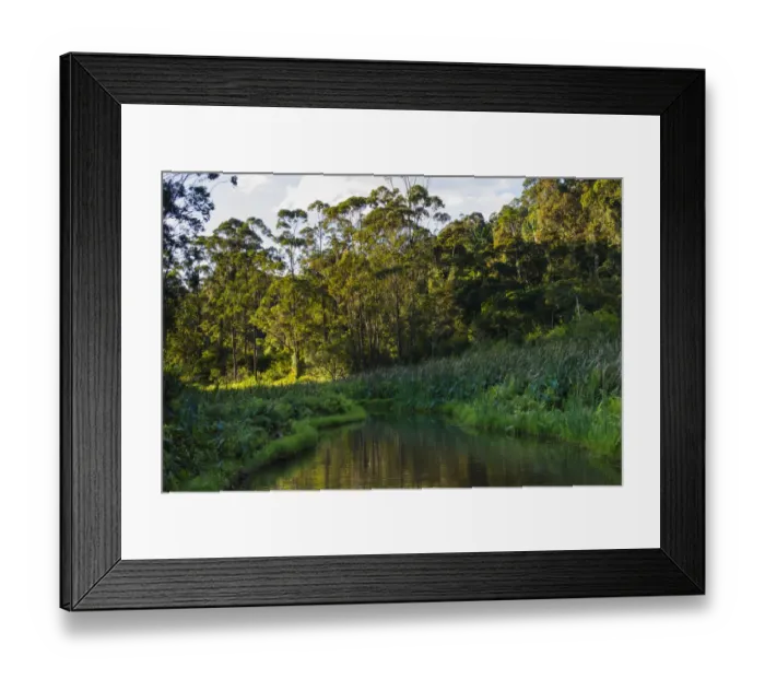 Framed Print : Madagascar, Andasibe, Vakona Lodge, Lemur Island. Sunset over the canals that keep