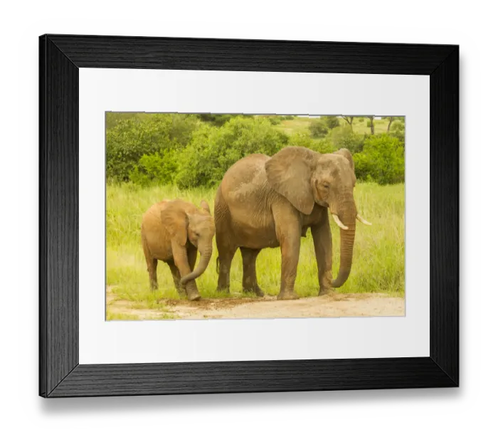 Framed Print : Africa, Tanzania, Tarangire National Park. African elephant adult and baby