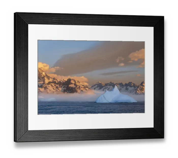 Framed Print : Antarctica, South Georgia Island, Coopers Bay. Iceberg and mountains at sunrise