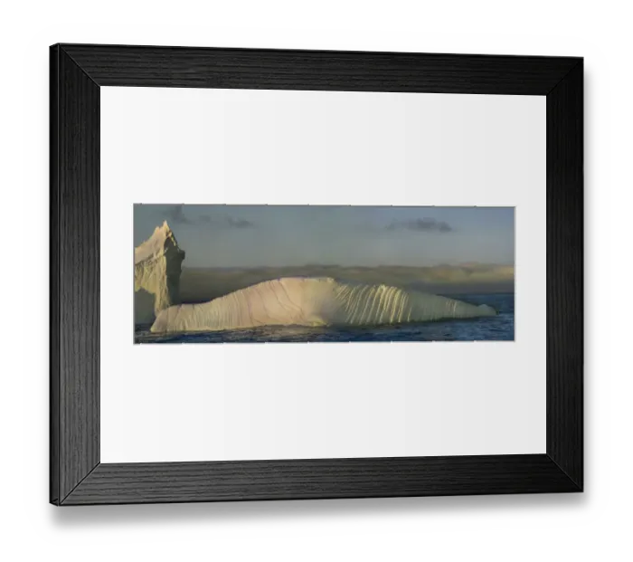 Framed Print : Antarctica, South Georgia Island, Coopers Bay. Iceberg shaped like elephant seal
