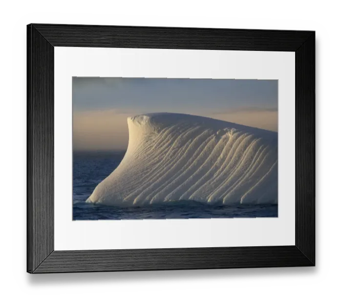 Framed Print : Antarctica, South Georgia Island, Coopers Bay. Iceberg at sunrise Framed Print : Antarctica, South Georgia Island, Coopers Bay. Iceberg at sunrise