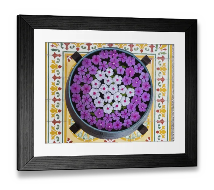 Framed Print : Asia, Vietnam, Mui Ne. Pink and white flowers floating on water in a large pot Framed Print : Asia, Vietnam, Mui Ne. Pink and white flowers floating on water in a large pot